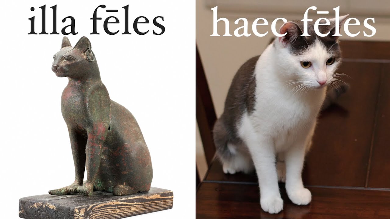 он, она, оно