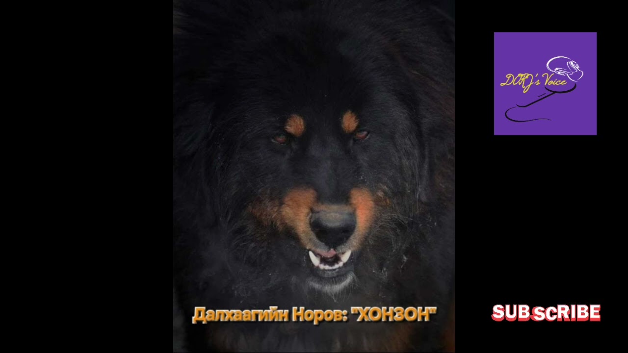 Д.Норов 