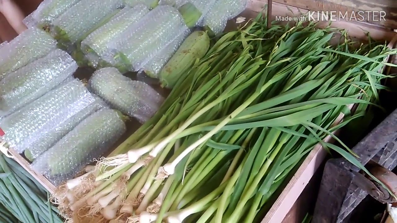 Taiwanese vegetable fruit Market in Taiwan