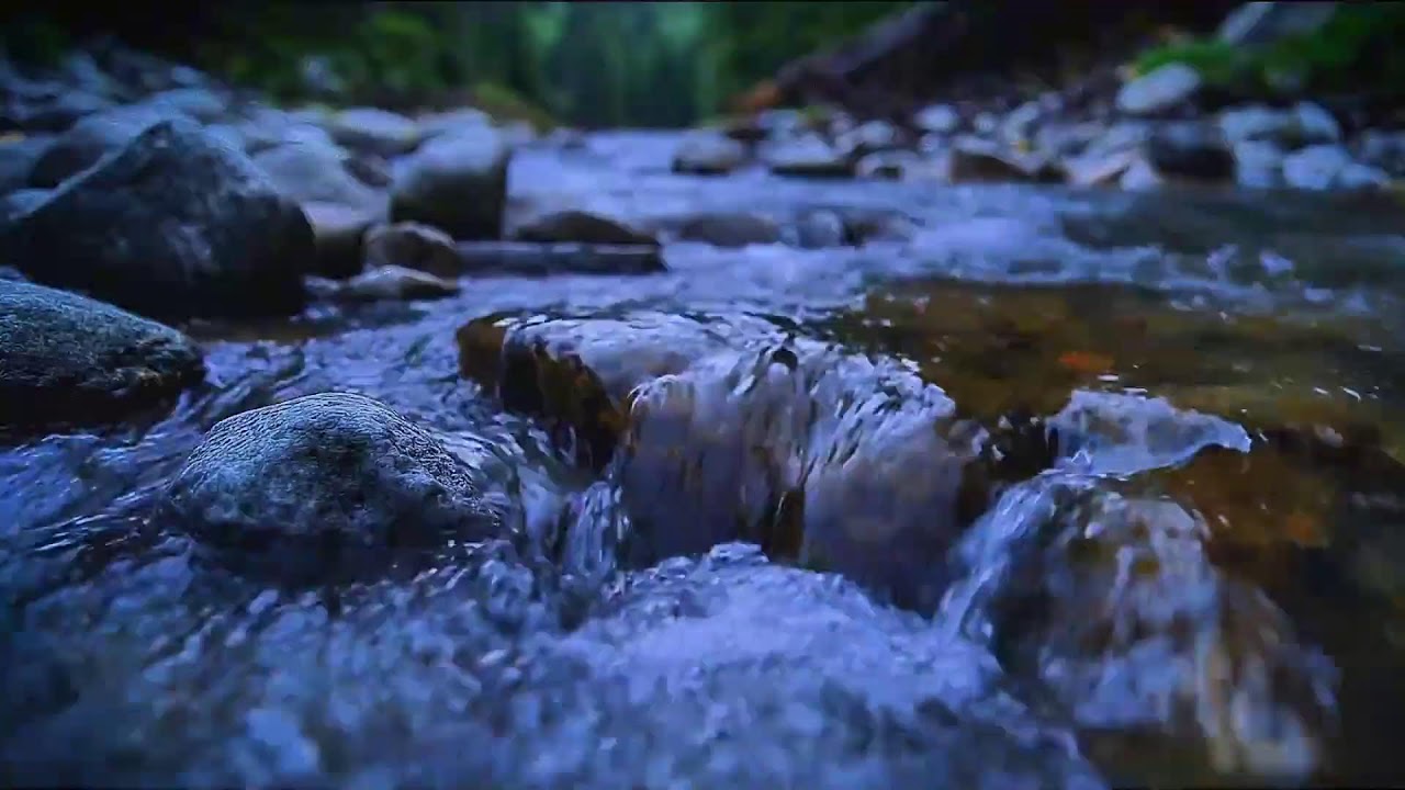 Relax Your Mind: River Sounds ASMR Live