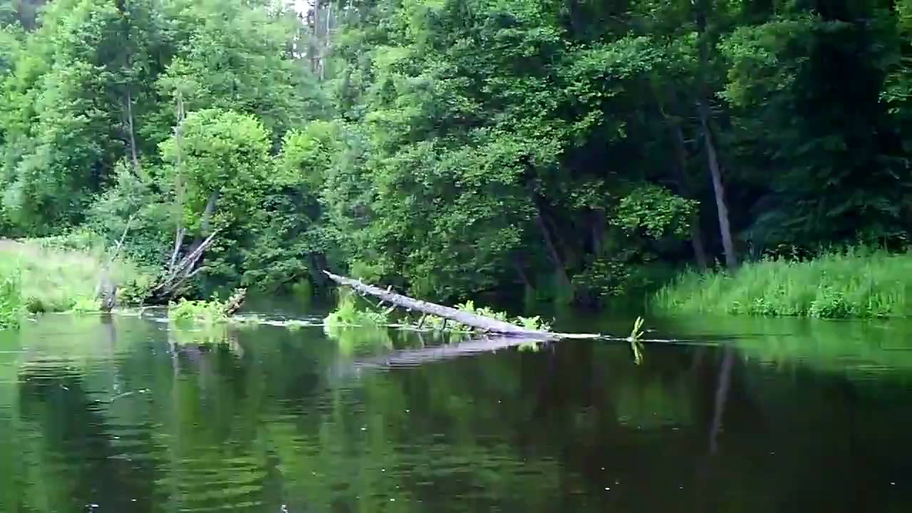 spływ kajkowy rzaka wda  HD