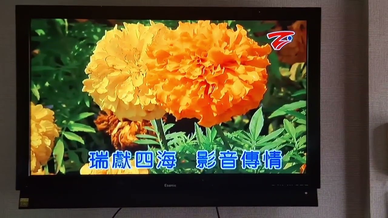 弘音 鴛鴦路 伴唱
