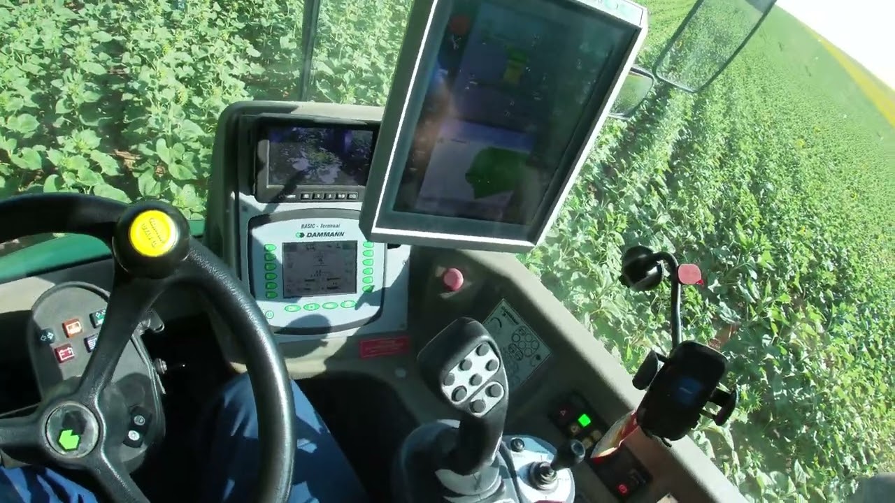 Dammann DT 2000H S4 POV4kl Naprafor&oacute; gomba&ouml;lőz&eacute;s 2024 #agriculture #damman#sunflower #spraying
