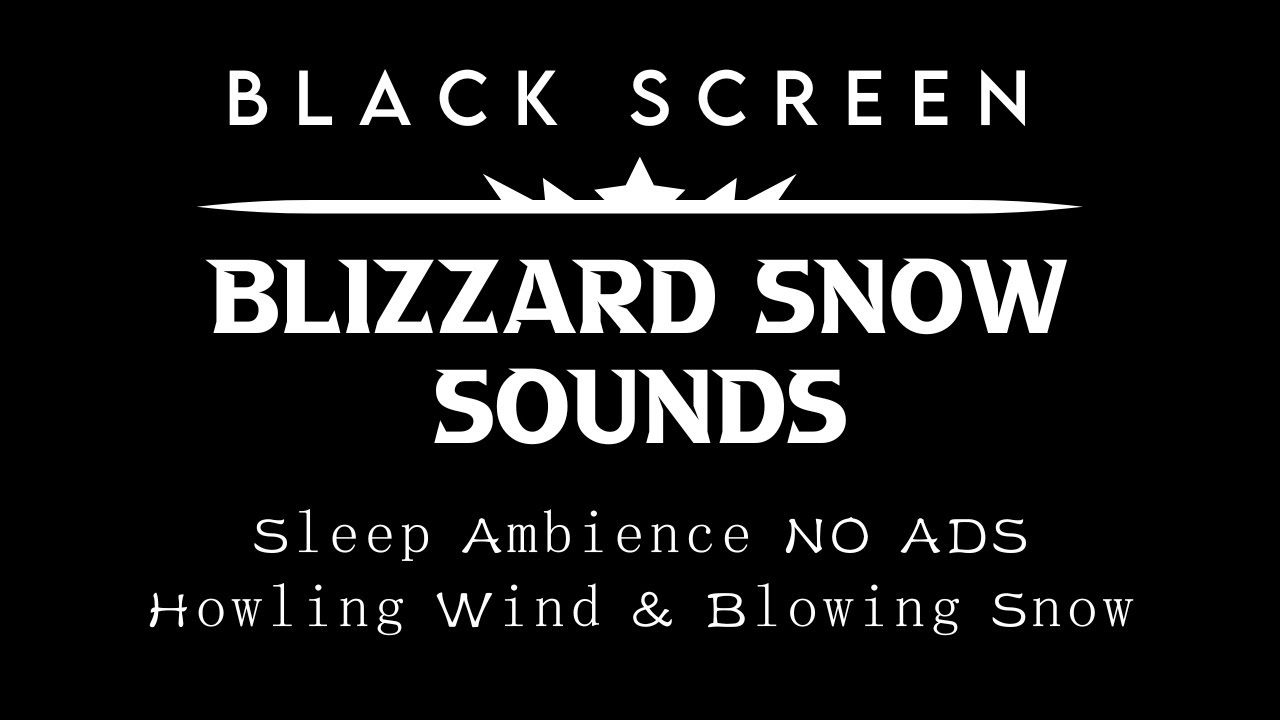 [Black Screen Snowstorm] Blizzard Sounds For Sleeping - Sleep Ambience NO ADS ┇ Wind Storm