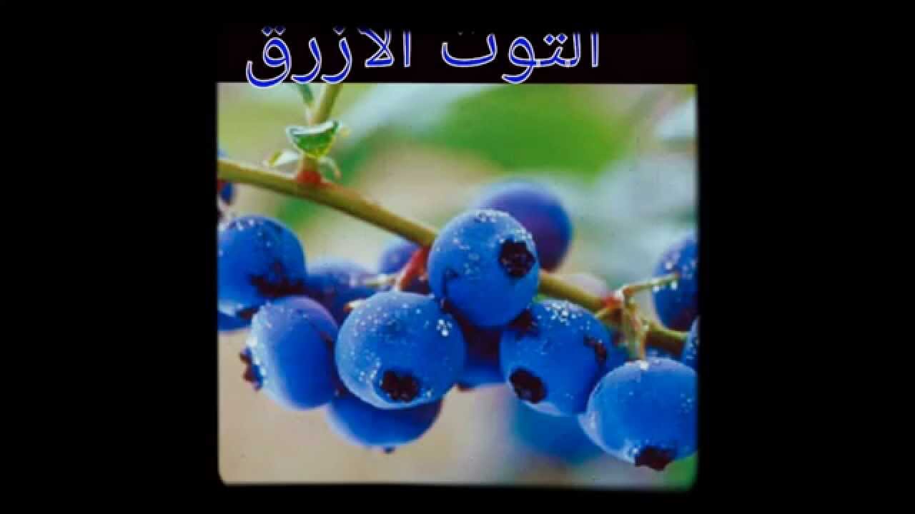 Dersimiz 7