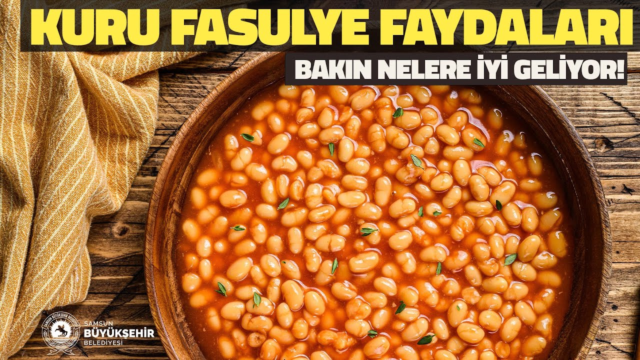 Kuru fasulye faydaları nelerdir?  |  Faydalı Bilgiler