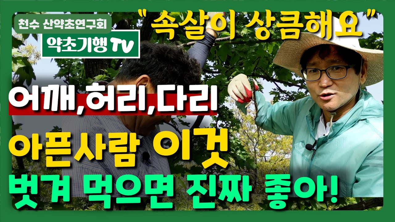 어깨,허리,다리 아픈사람 이것 벗겨먹으면 진짜 좋아!