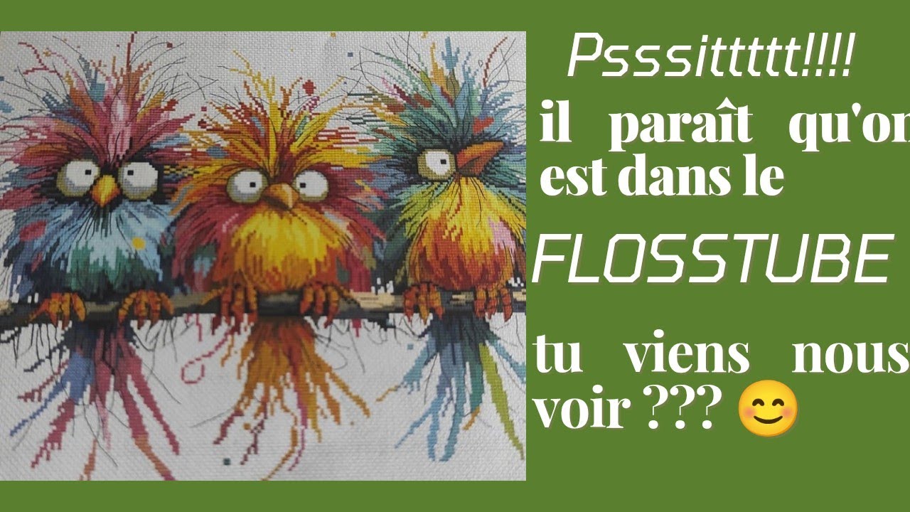 #flosstube #pointdecroix #broderie #crossstitch #countedcrossstitch #stampedcrossstitch #embroidery
