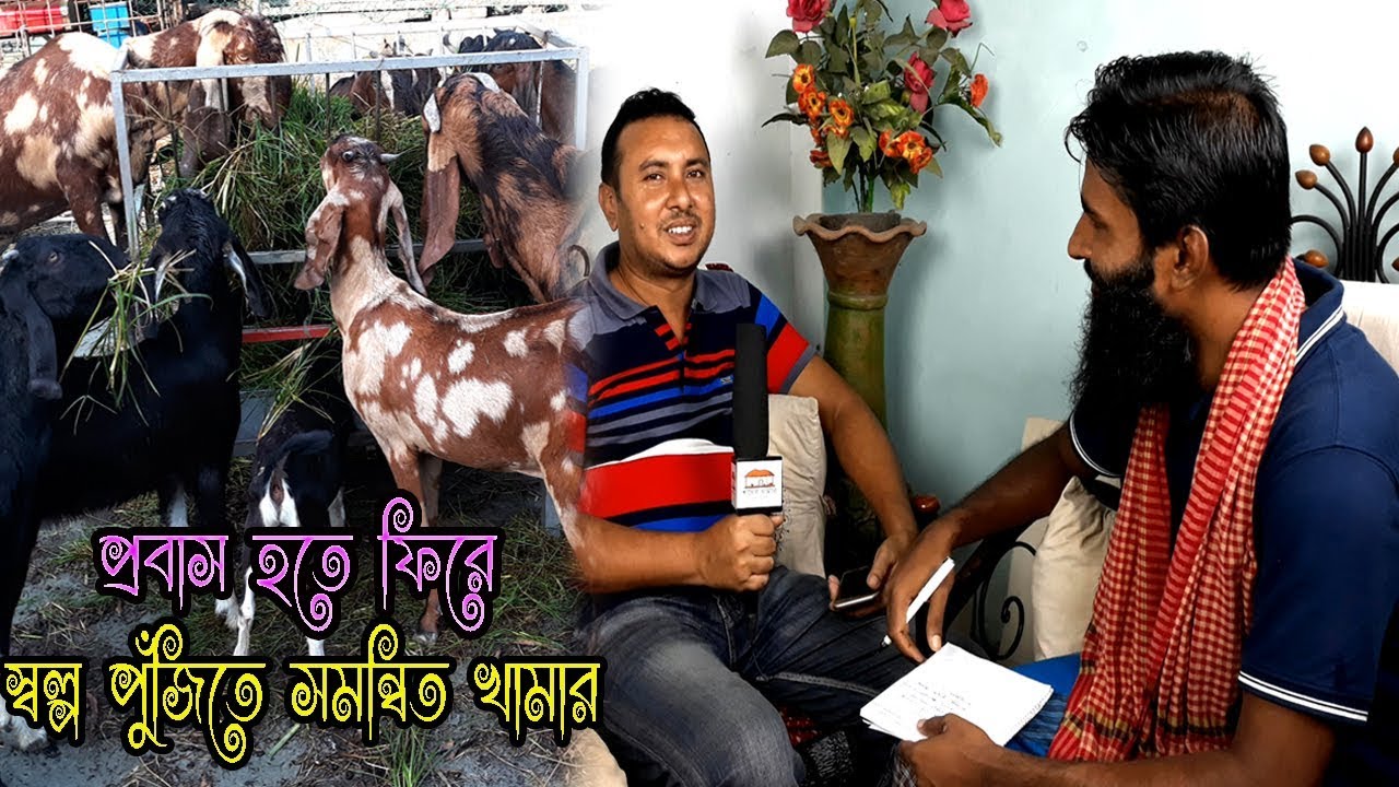 প্রবাস হতে ফিরে কৃষি উদ্যোক্তা হওয়ার প্রচেষ্টা ।। 01988883104 ।। উদ্যোক্তা উন্নয়ন পর্ব-০৯