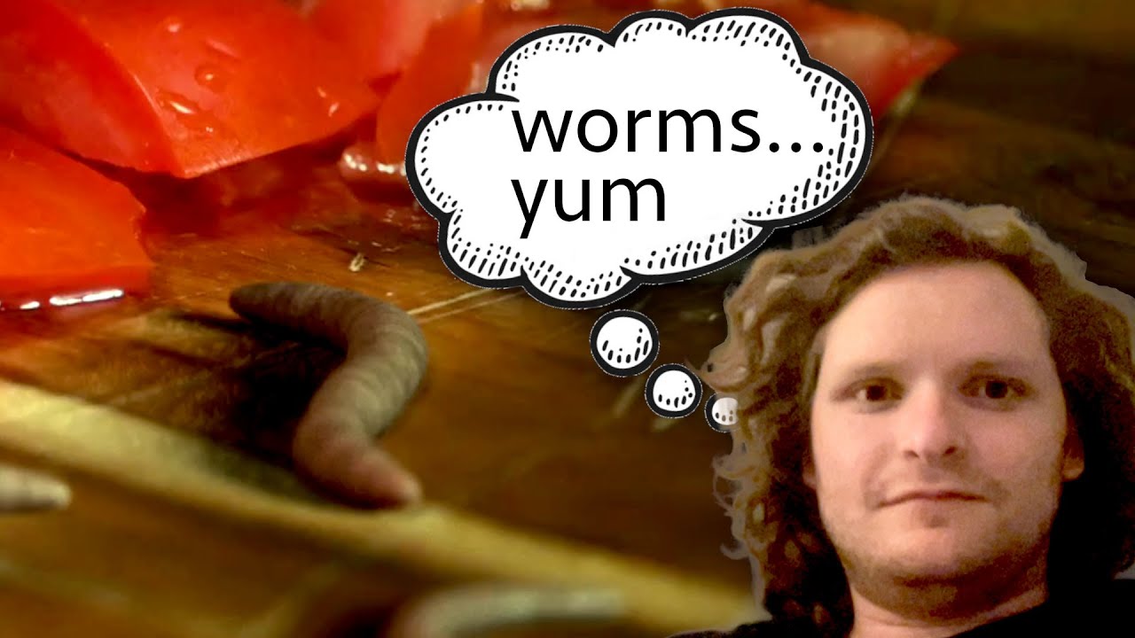Eating Worms // Blender Tutorial
