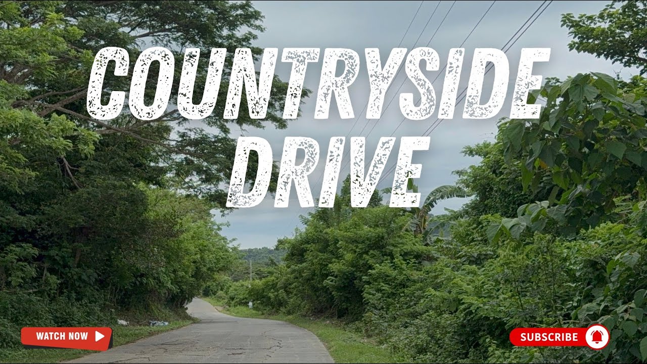 Peaceful Road Trip sa Nasugbu–Butucan, Batangas | Rice Fields & Countryside Views#motovlog#travel