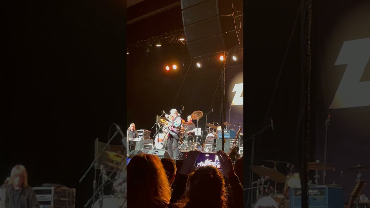 Zebra - Tell Me What You Want live 2024 - WPDH Mistletoe Jam MJN Convention Center 