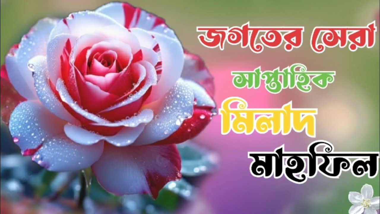 যে মিলাদ কিয়ামে আপনার হৃদয় শীতল হয়ে যাবে।। জগত সেরা সাপ্তাহিক মিলাদ মাহফিল।। Islamic Darood Tv.