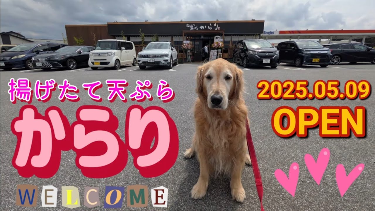 揚げたて天ぷら　からり・天ぷら定食（小山市）