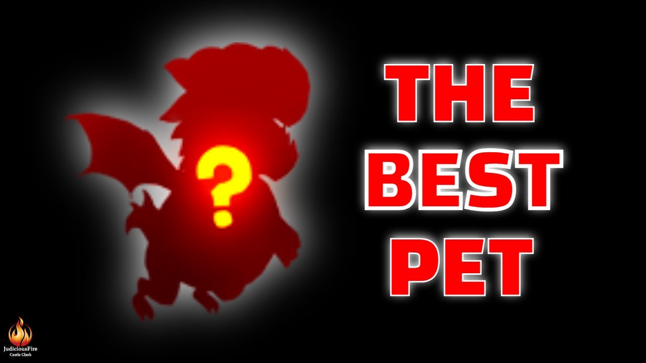 Castle Clash Best Hero Pet