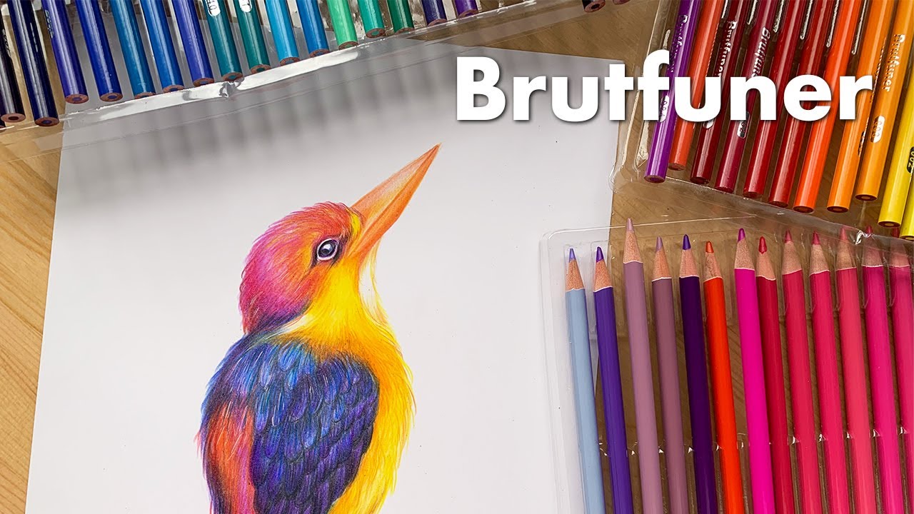Brutfuner Oil Pencils 120 Colour Set (Unboxing + Swatches + Bird Drawing)