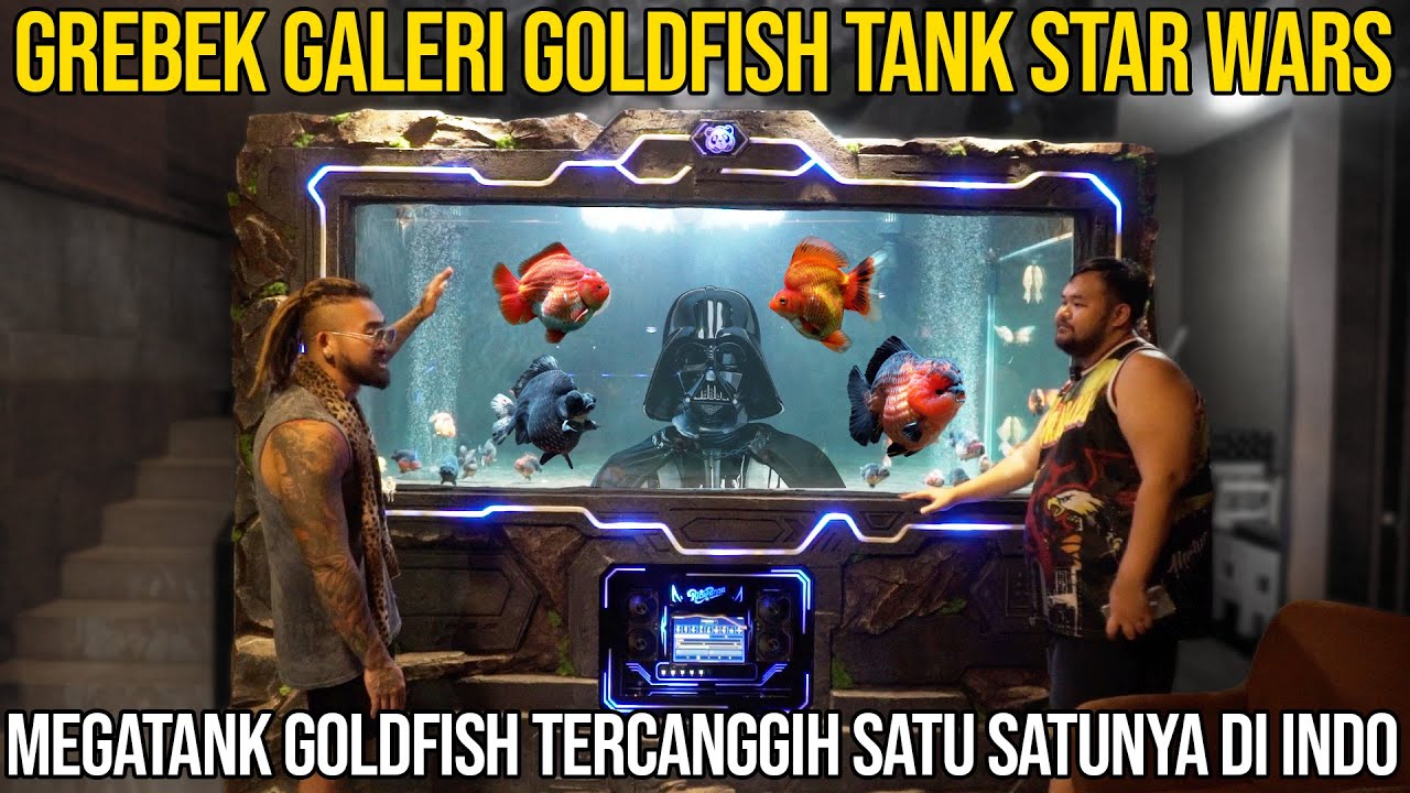 GREBEK GALERI GOLDFISH TANK STAR WARS. MEGATANK GOLFISH TERCANGGIH SATU2 NYA DI INDO. RICHGOLDFISH