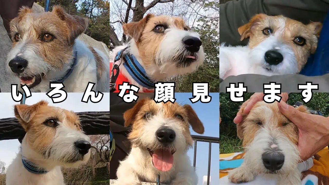 すいません今更のハイライト集です【2025総集編】