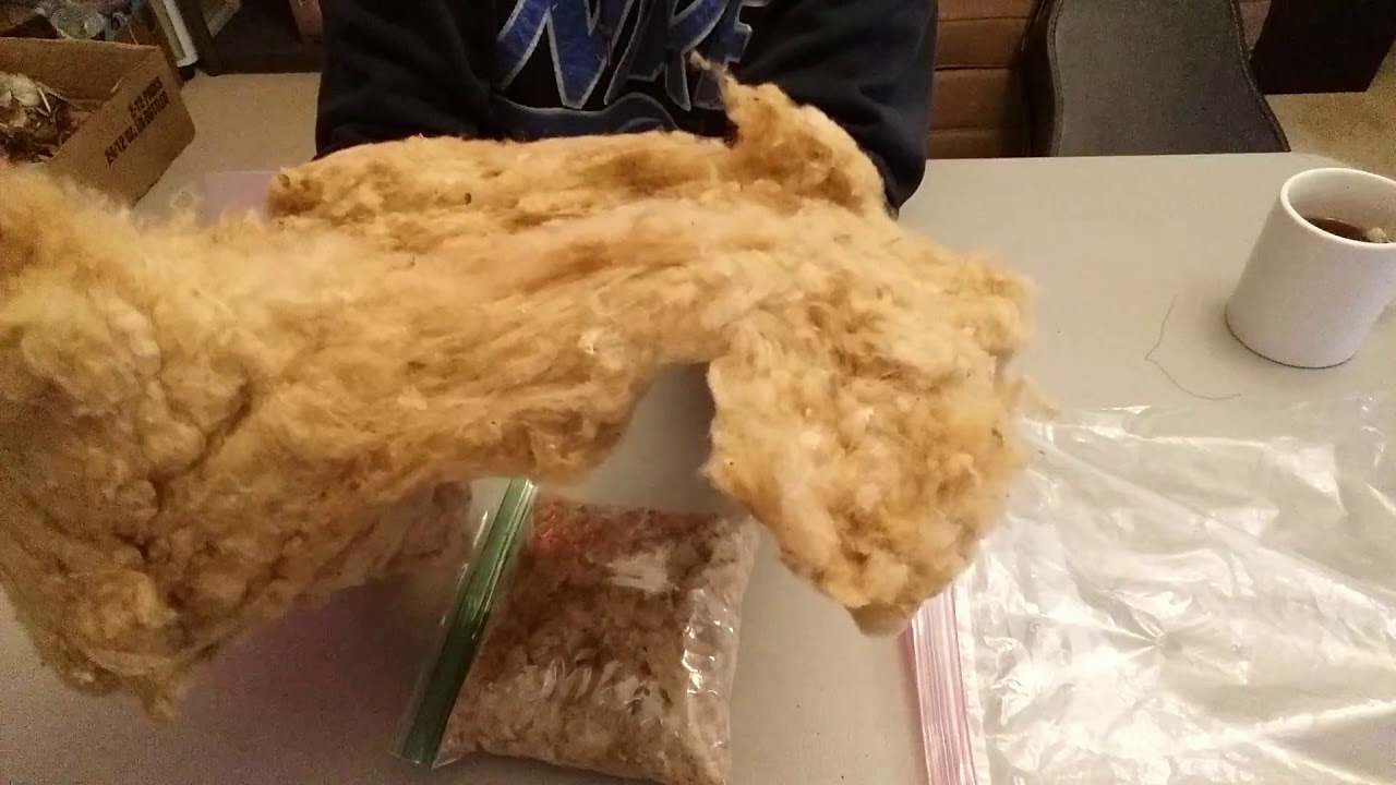 Processing Our Cotton | Ginning to Spinning