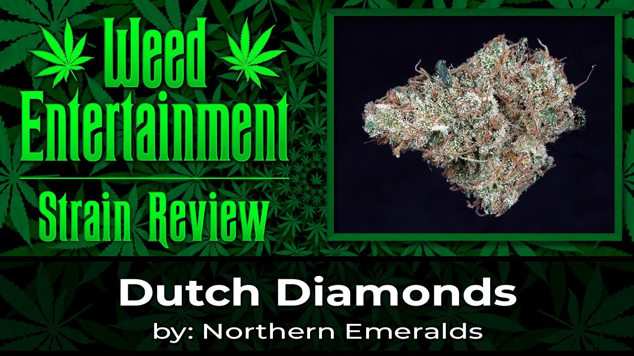 Dutch Diamonds - by Northern Emeralds - Strain Review - May 2023