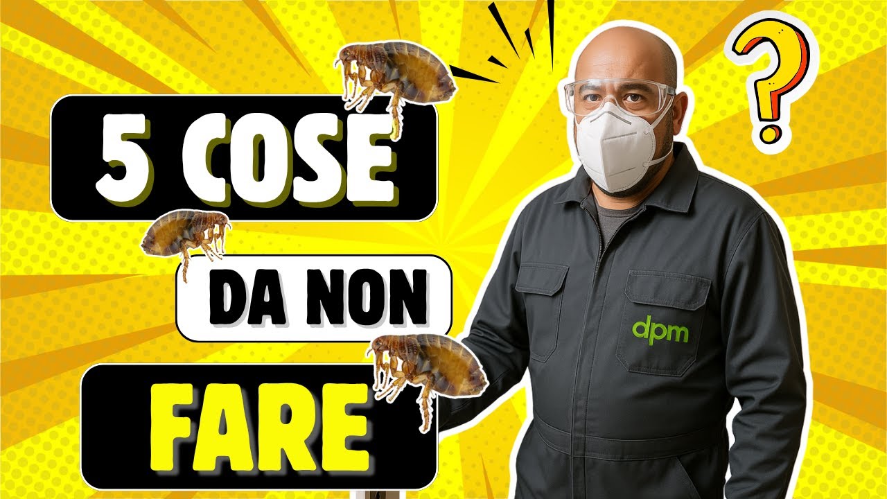 HAI LE PULCI IN CASA? ascolta questi 5 consigli UTILISSIMI