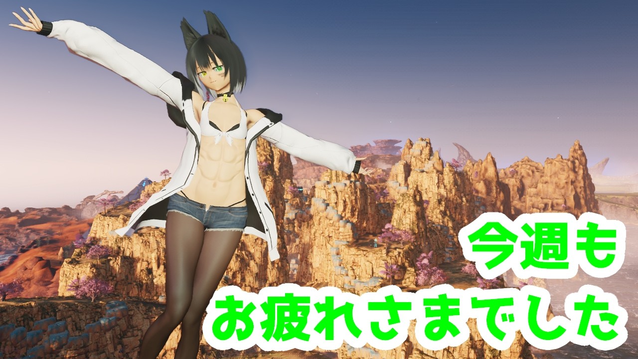 [PSO2:NGS]今週もお疲れさまでした！！！[朝活] #PSO2NGS #ship8