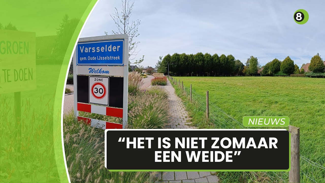 Kritiek op nieuwbouwplannen voor grasweide in dorp Varsselder