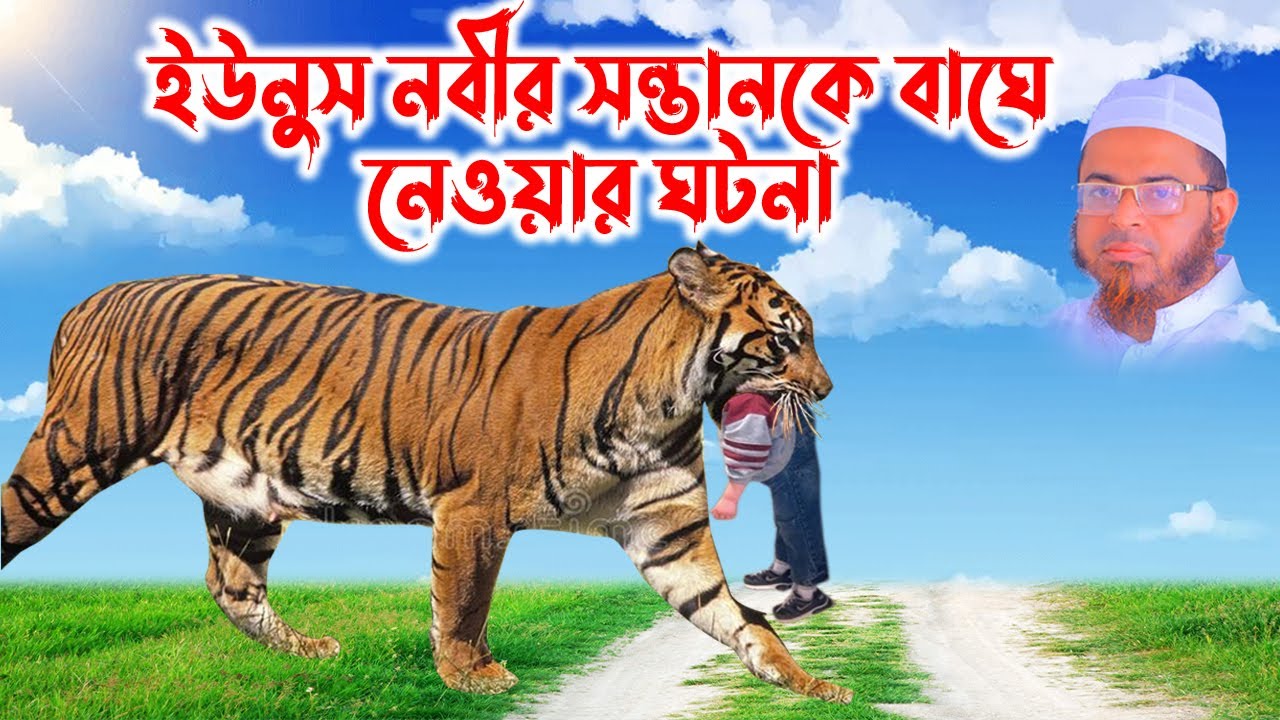 Mufti Nasir Uddin Ansari 01712093649। মুফতি নাসির উদ্দিন আনসারী । ইউনুস নবীর ছেলেকে বাঘে খাওয়ার ঘটনা