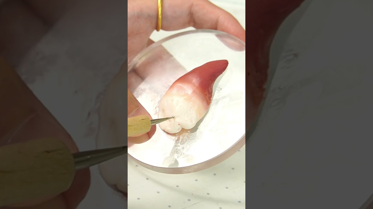 How to make Arctic Surf Clam with clay #asmr #art #3d #diy #relax #clay #painting #handmade  #sushi