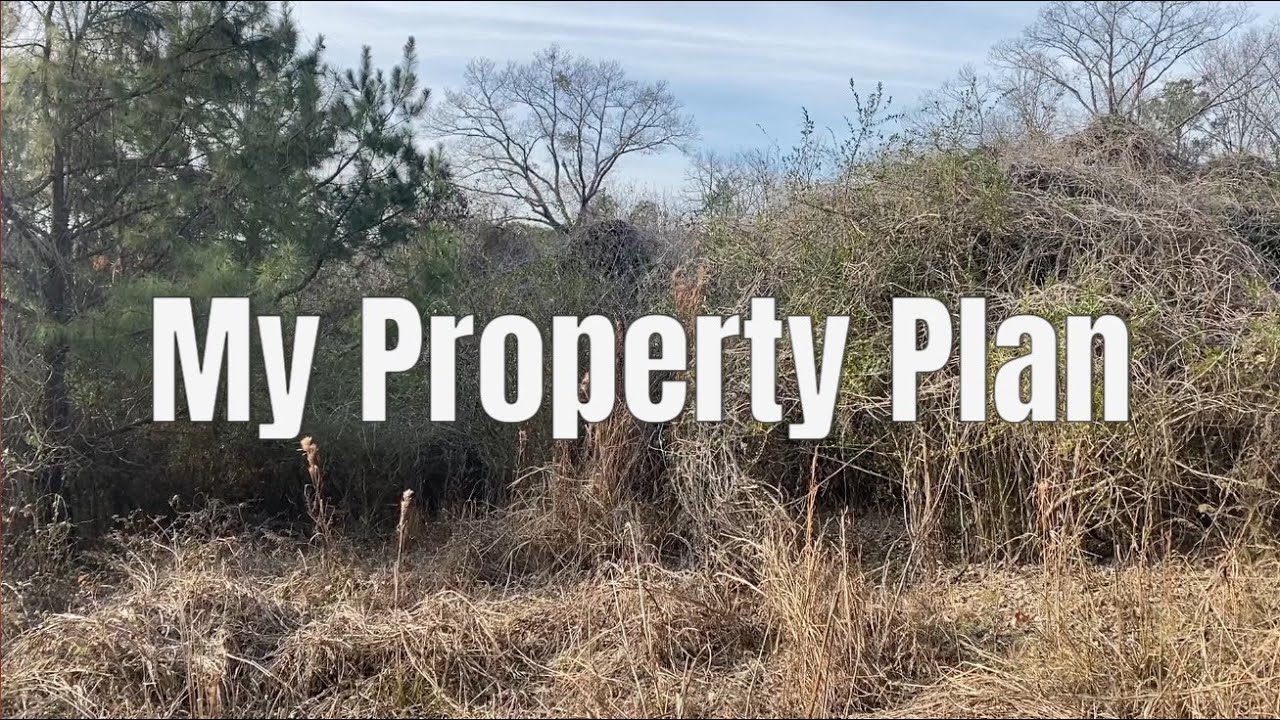 My property plan.