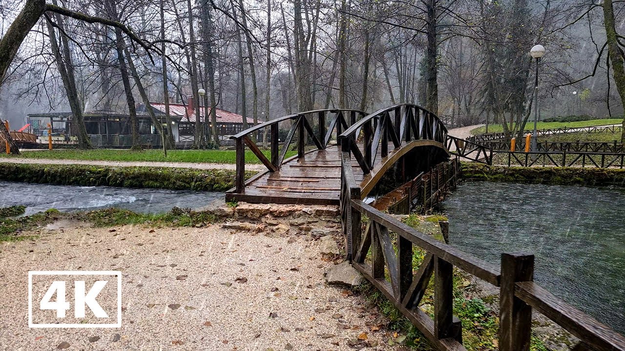 Walking in the rain by the river Forest Park. Umbrella Rain sounds (4K)