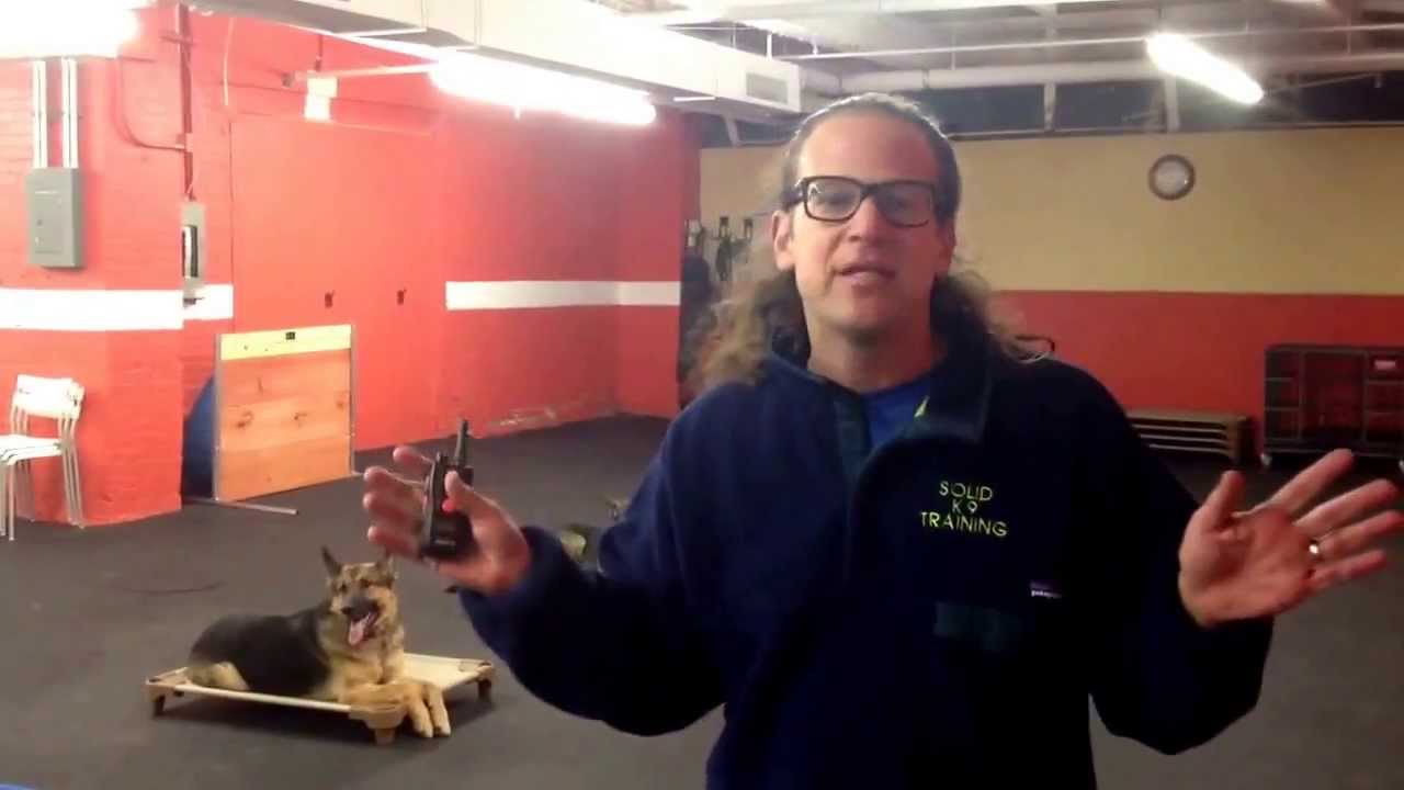 Remote Collar Training day 1- Solid K9 Training
