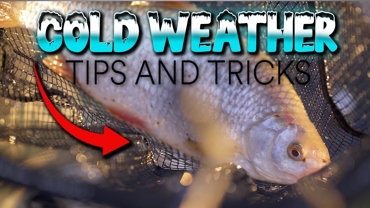 Cold Weather Tips and Tricks | Dean Barlow