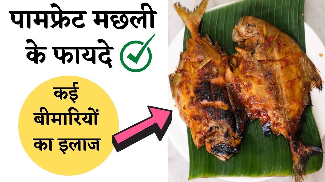पोमफ्रेट मछली खाने के फायदे | fish benefits for human body | fish khane ke labh | the jalebi