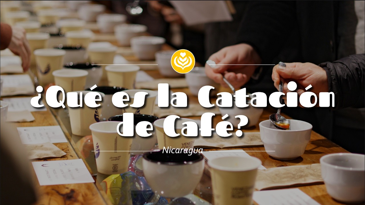 &iquest;Qu&eacute; es la cataci&oacute;n de caf&eacute;?