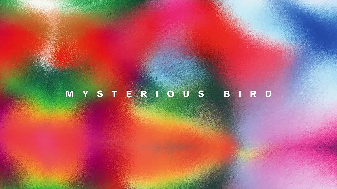 Romain Garcia - Mysterious Bird
