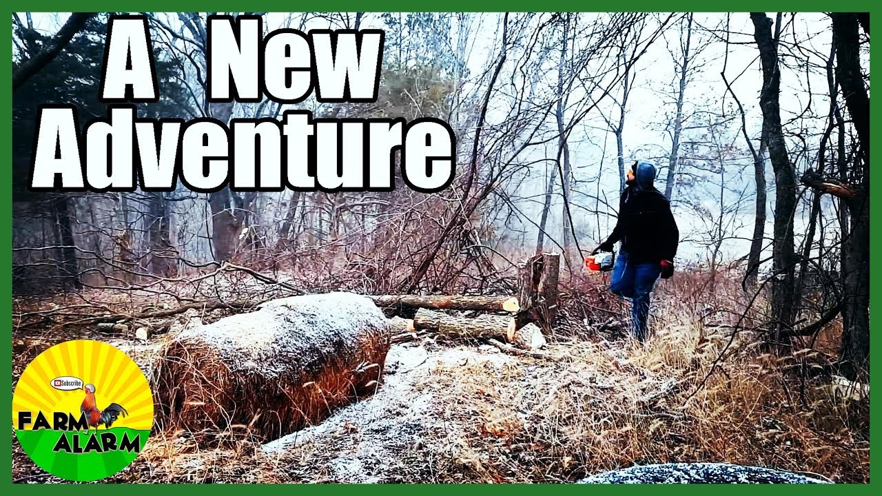 Clearing some land so we can be sheep farmers  |  Shepards