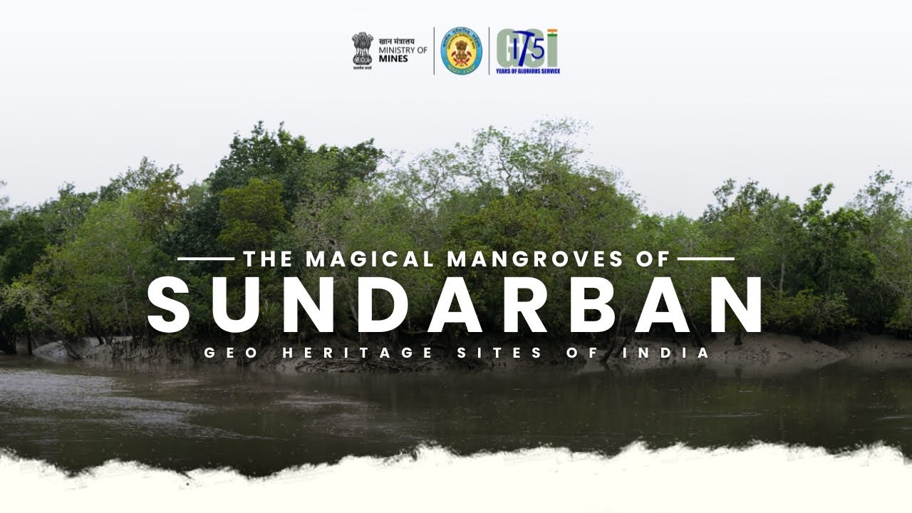 Mangrove Forest of Sundarban