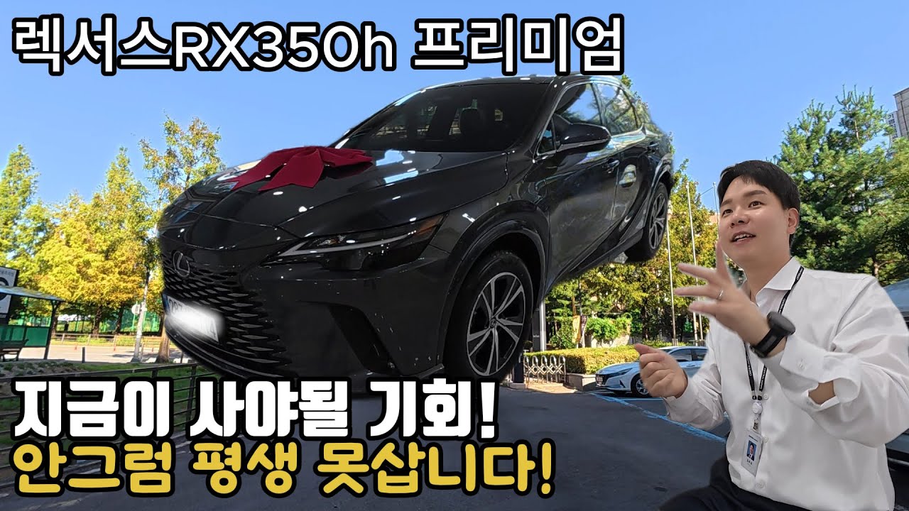 지금 안사면 평생 못삽니다! - RX350h 프리미엄 출고기