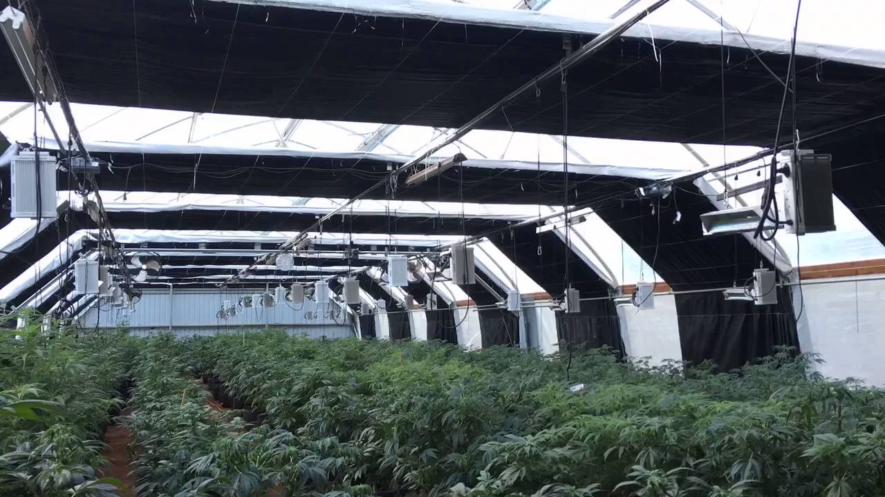 Greenhouse Light Deprivation System