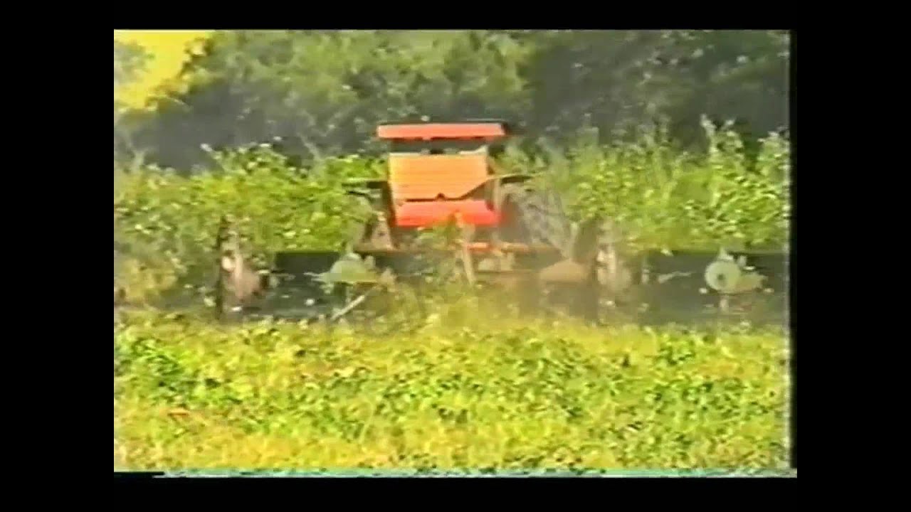 Roçadeiras Marilia Dalle Vedove