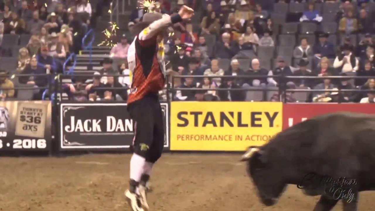 BULL FIGHTERS ONLY HIGHLIGHTS (BFO)