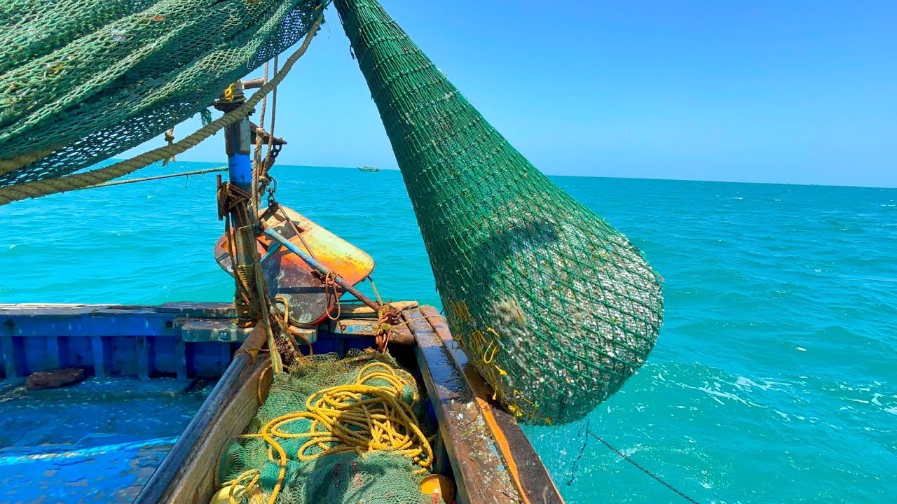 Ohh❗Prawns & Squid Catch 💢 Trawler Net Fishing 🤩 Compilation  📸  | Mandapam village