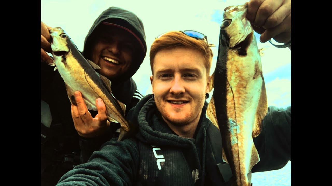 UK Sea Fishing  - 2019 Scotland Trip 1 - Loch Sunart (so many fish)