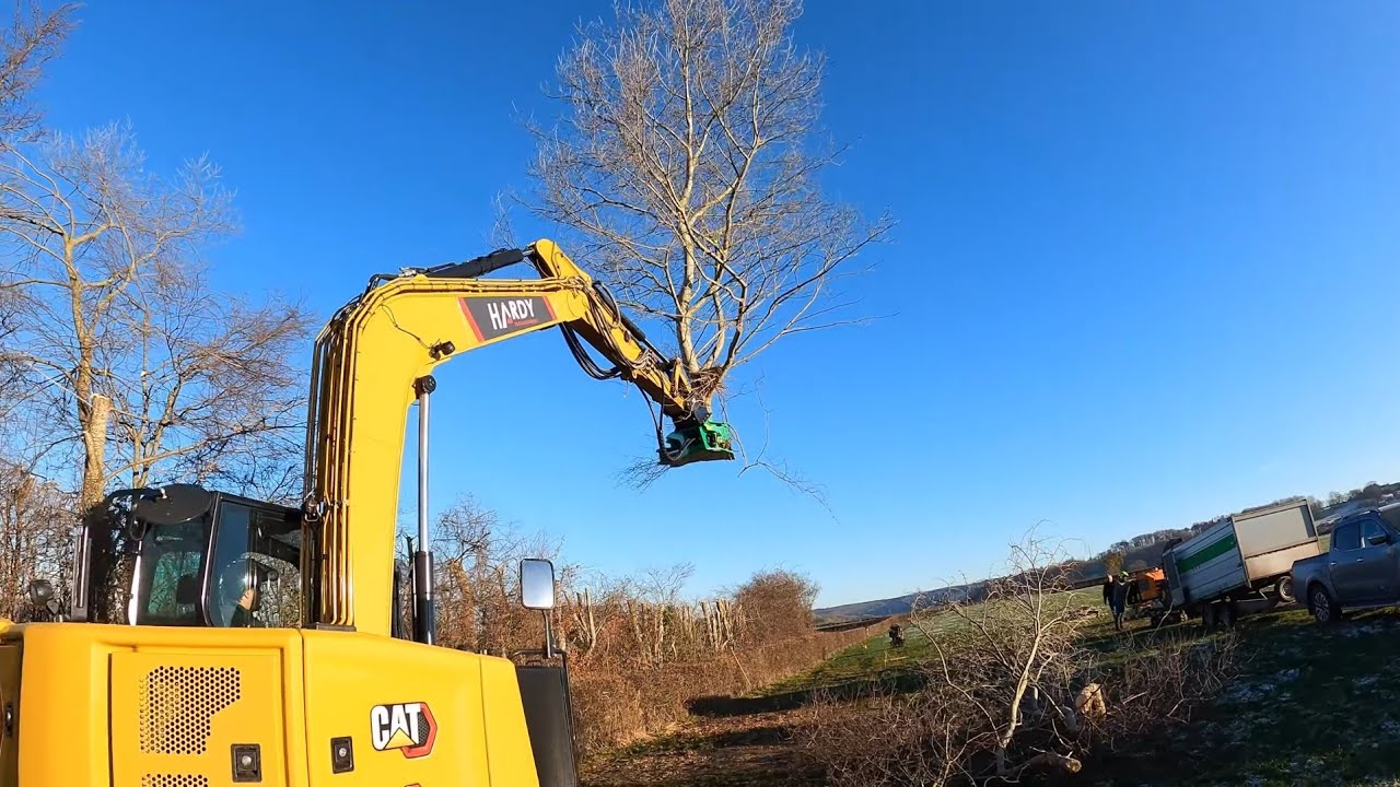 CAT 310 / PINCE SÉCATEUR UNE MACHINE PUISSANTE