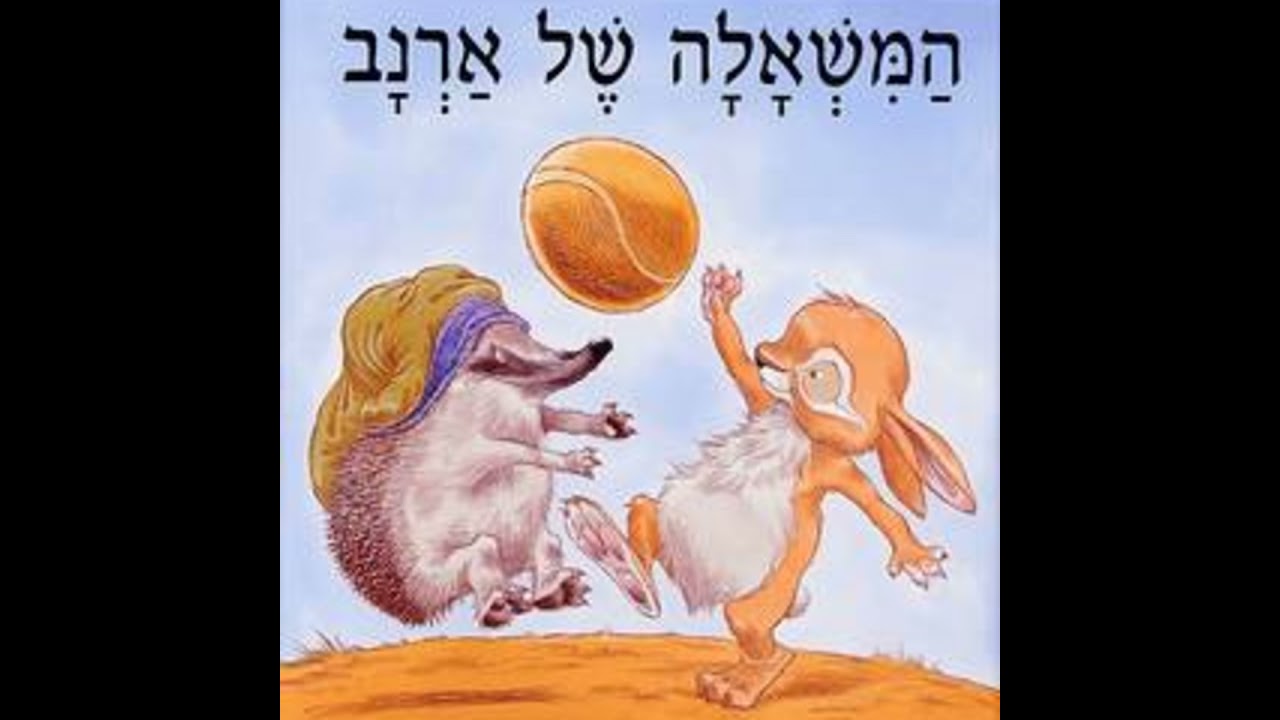 המשאלה של ארנב