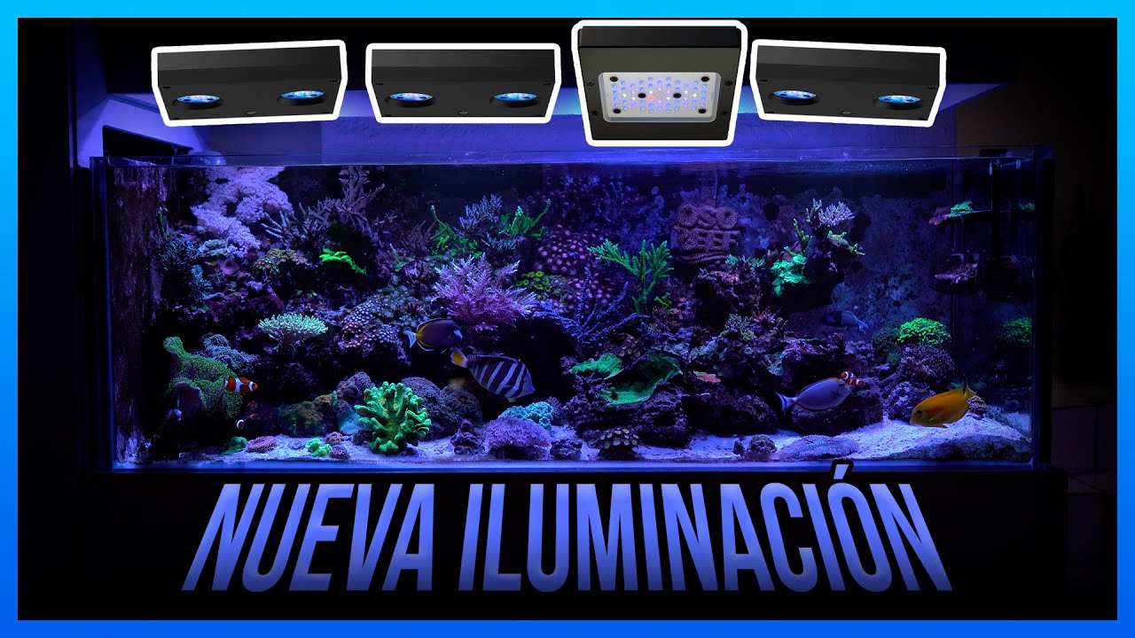 CAMBIO TOTAL de LUCES al Oso Tanque!