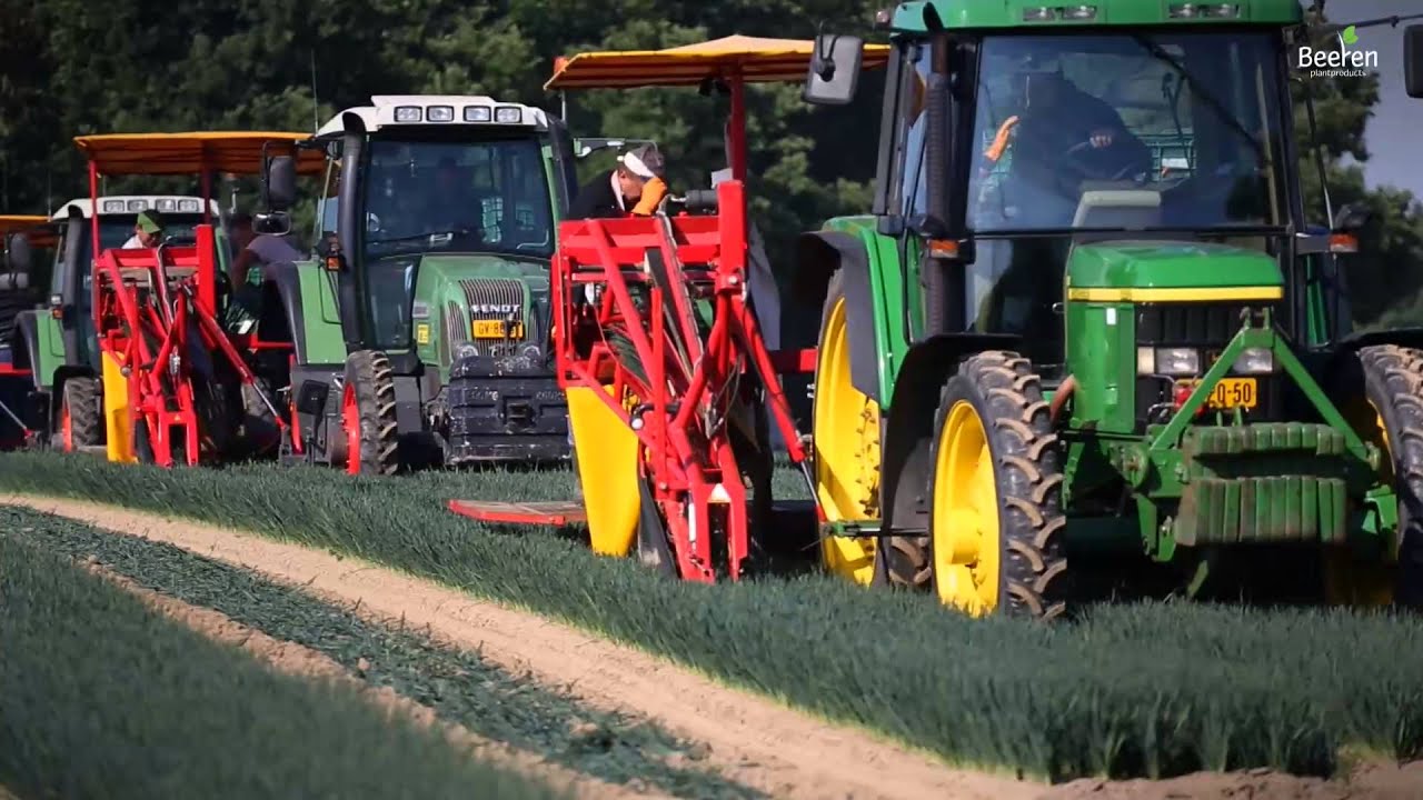 Beeren Plantproducts - Beursfilm NEDERLANDS