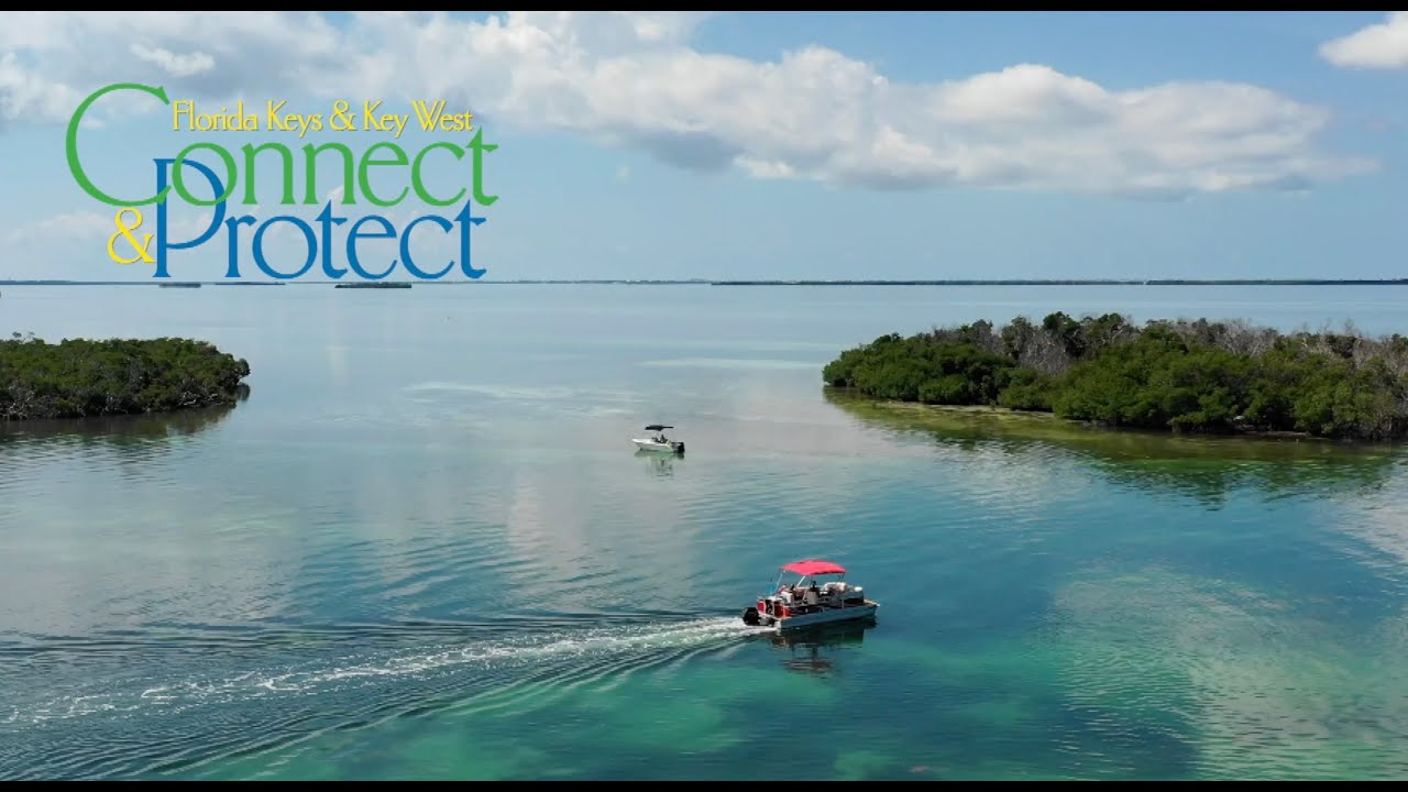 Boat, Dive and Fish Responsibly in the Florida Keys