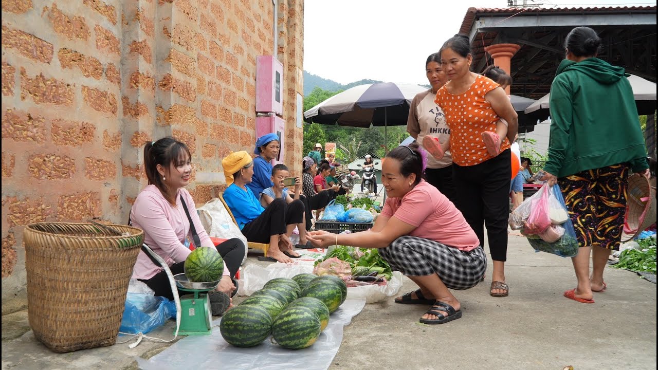 Harvest watermelons to sell, clean the farm and feed the animals